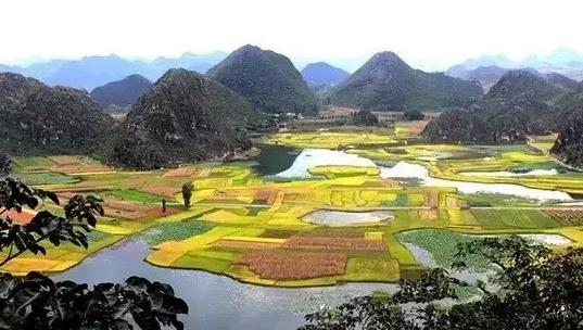 云南盛会，尊敬的领导与朋友们共聚一堂