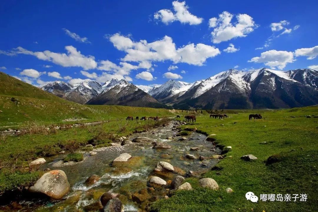 千年瑰宝之地,新疆文化之旅