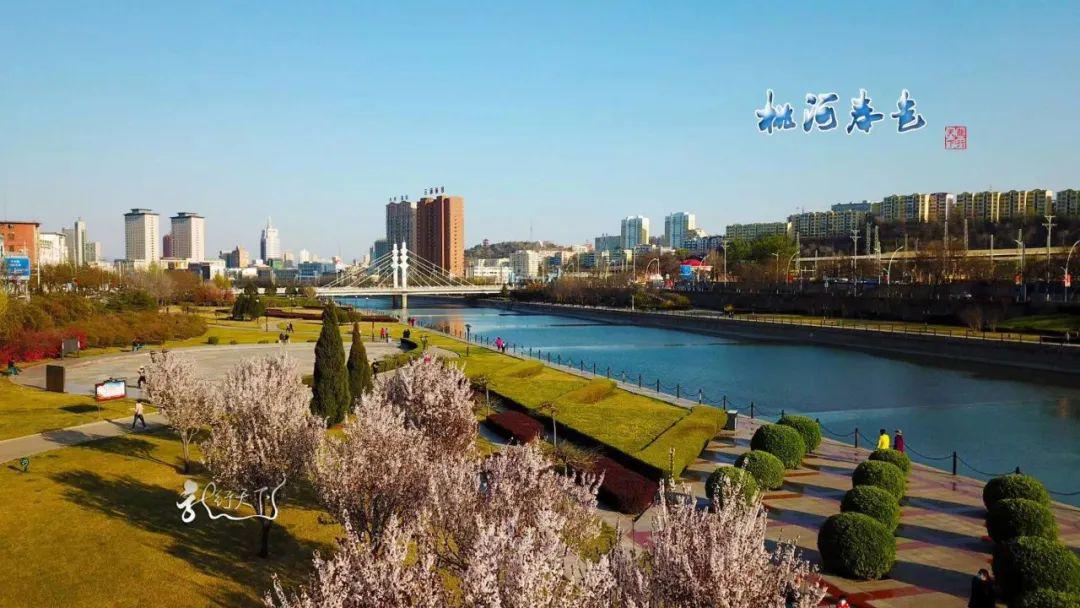 阳泉，深度解读与评论文章