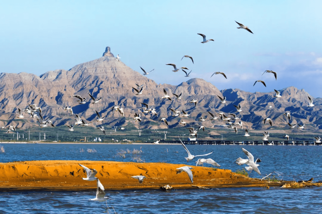 乌海,城市发展与环境保护的协同探索