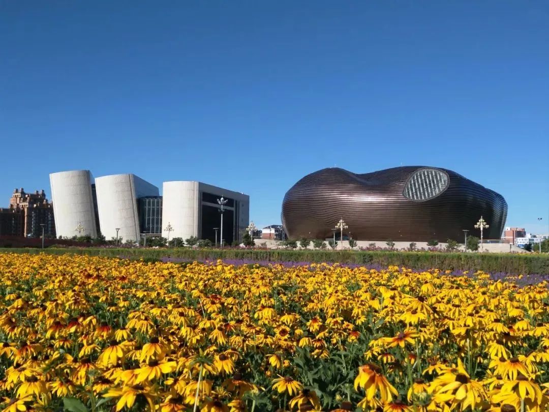 鄂尔多斯，草原文明的繁荣之都