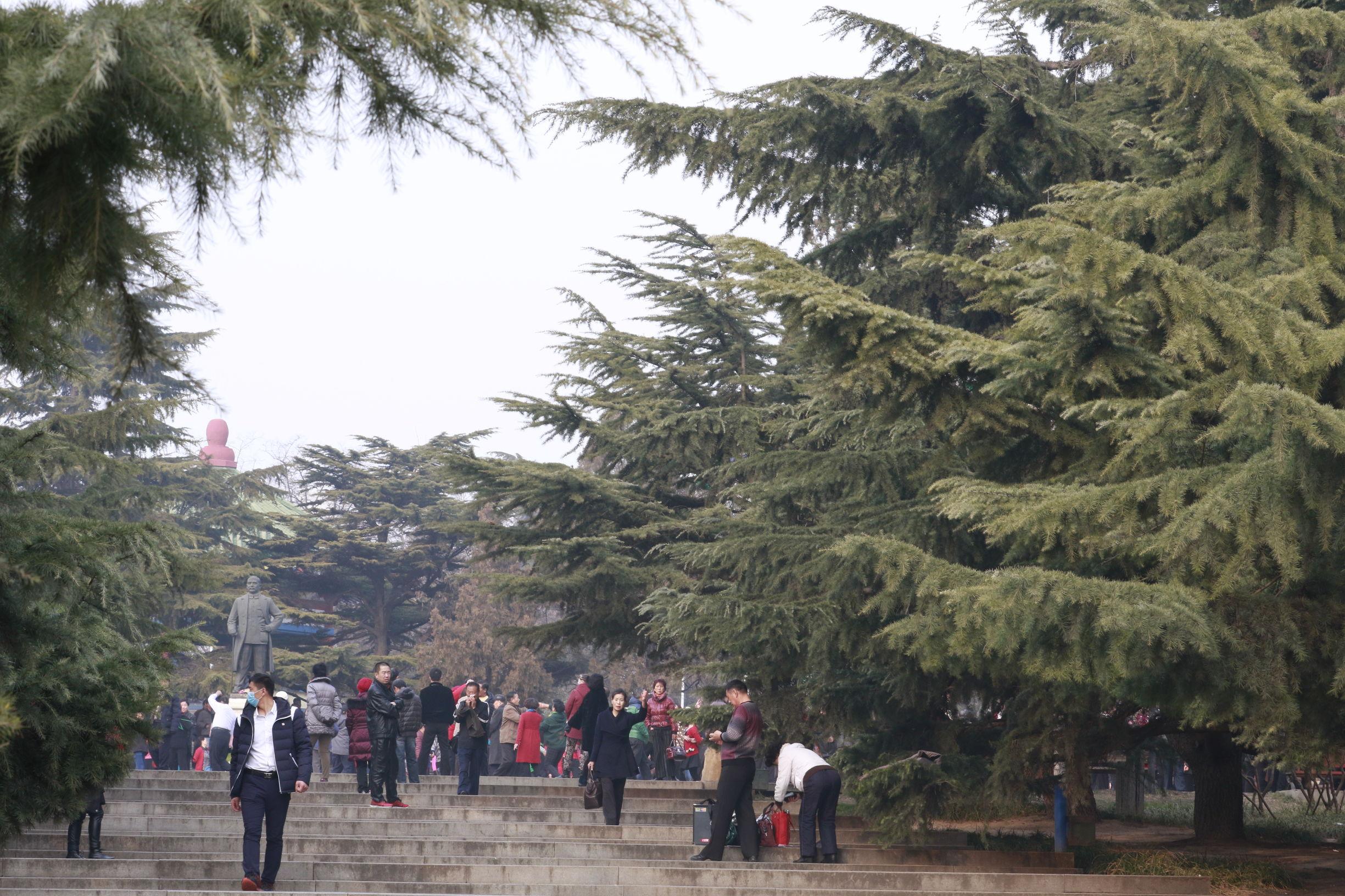 大连盛会，嘉宾云集，观众热情如火